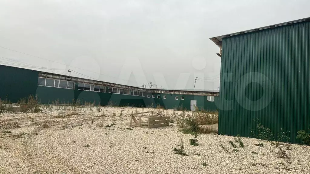 Склад для селлеров, 3500 м - Фото 0