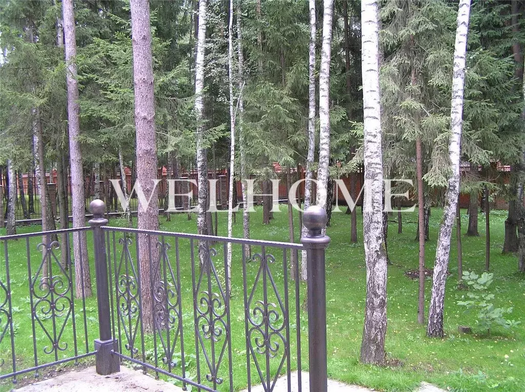 Продается дом в д. Грибово - Фото 2