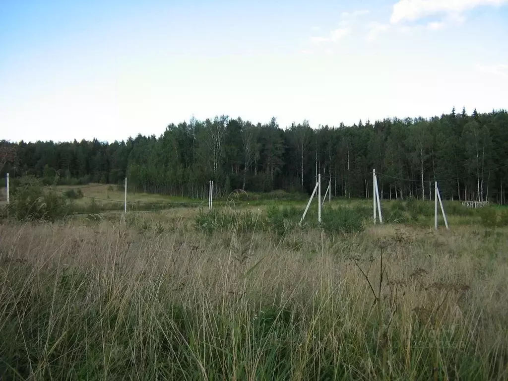 Участок в Ленинградская область, Ломоносовский район, Гостилицкое ... - Фото 1