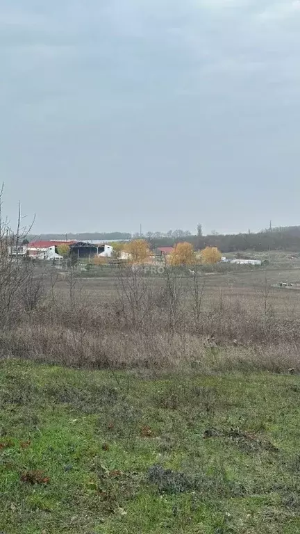 Участок в Краснодарский край, Крымский район, Варениковское с/пос, с. ... - Фото 2