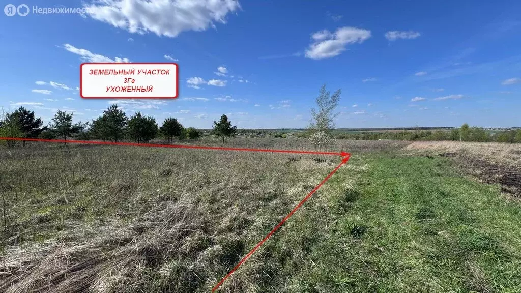 Участок в Московская область, городской округ Коломна, село Лукерьино ... - Фото 1