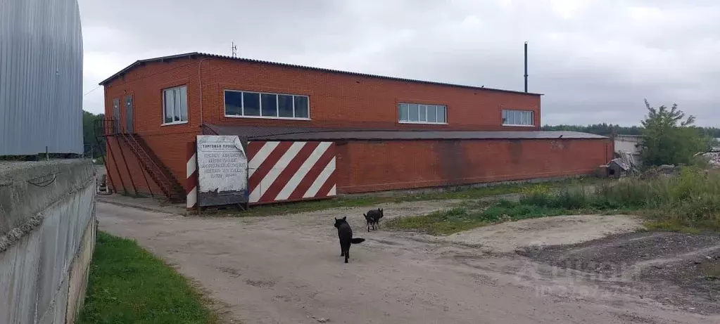 Производственное помещение в Томская область, Томск проезд 1-й ... - Фото 1