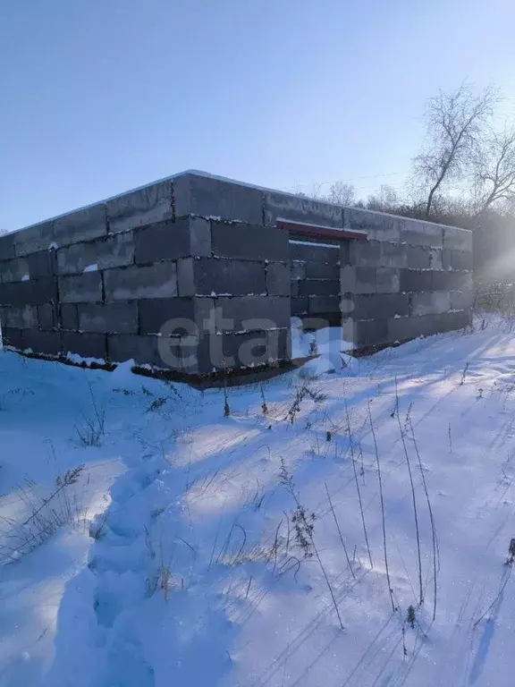 Участок в Амурская область, Благовещенский район, с. Новотроицкое  ... - Фото 2