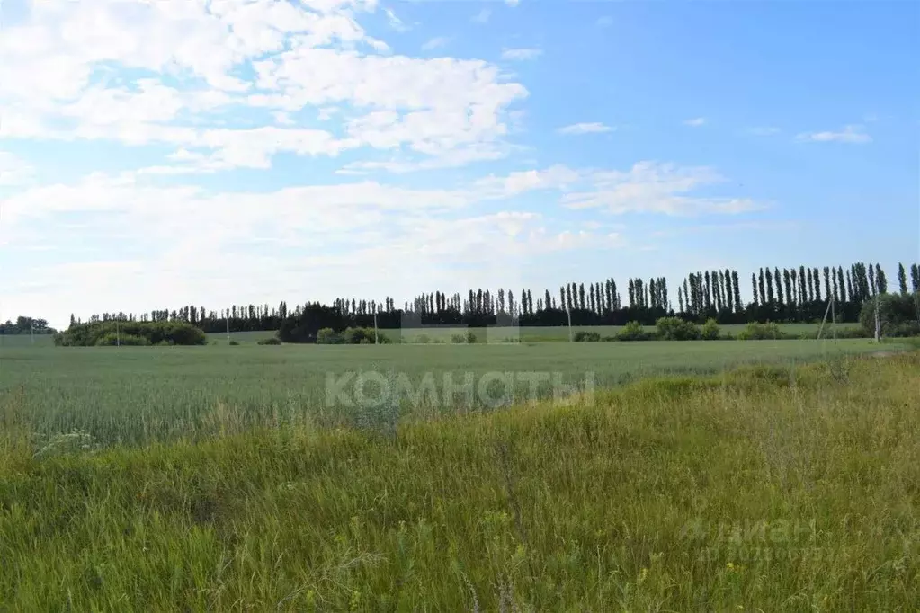 Участок в Воронежская область, Семилукский район, с. Губарево ... - Фото 1