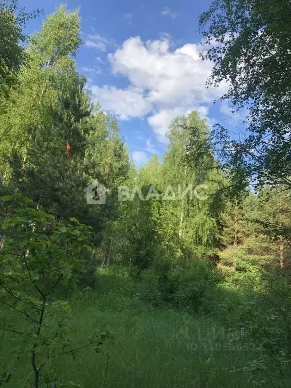 Участок в Владимирская область, Судогодский район, Лавровское ... - Фото 1