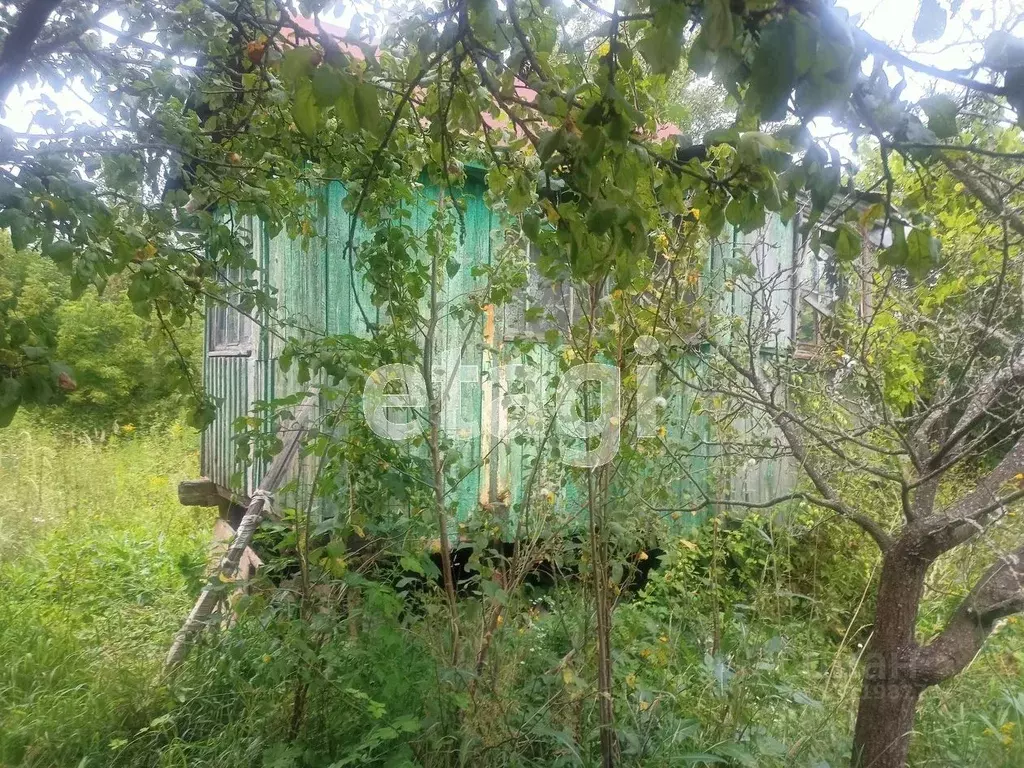 Дом в Брянская область, Брянск Дормаш-3 садовое общество,  (10 м) - Фото 0