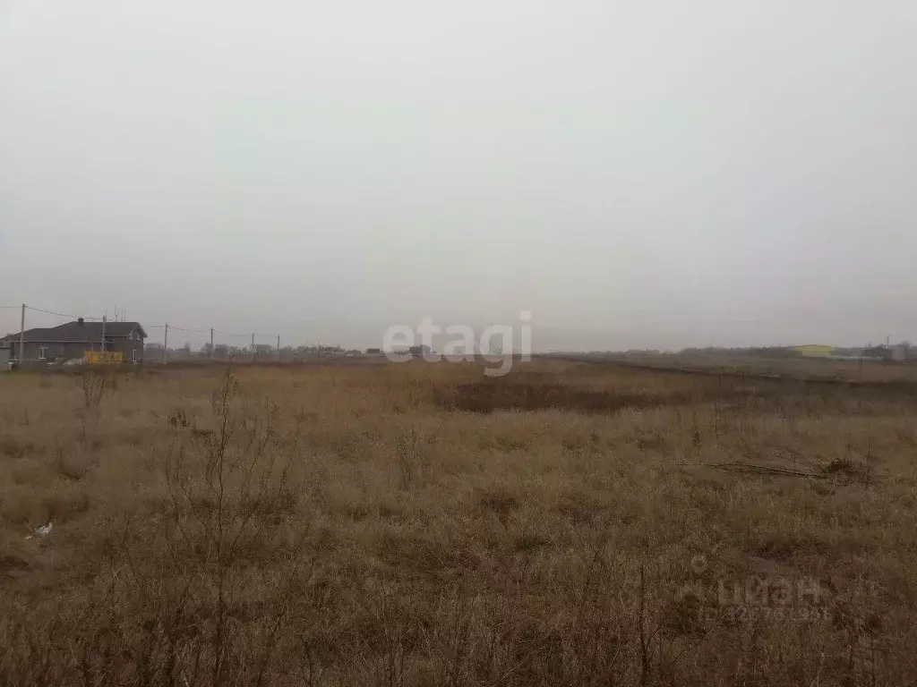 Участок в Курская область, Курский район, Новопоселеновский сельсовет, ... - Фото 1