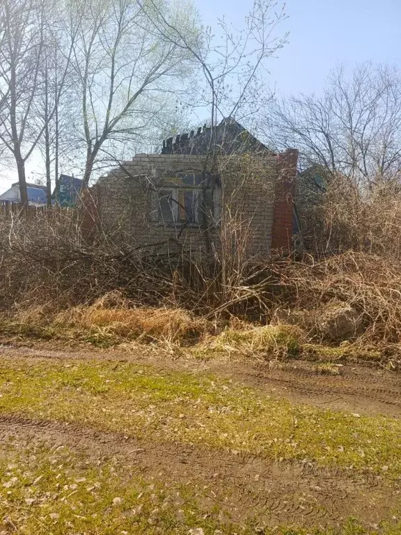 Участок в Владимирская область, Суздальский район, Селецкое ... - Фото 1