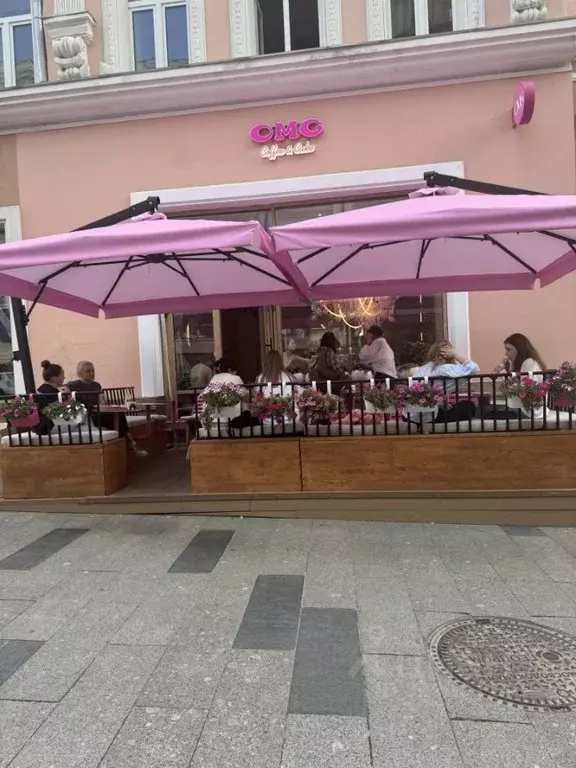 Помещение свободного назначения в Москва ул. Рождественка, 6/9/20С1 ... - Фото 2