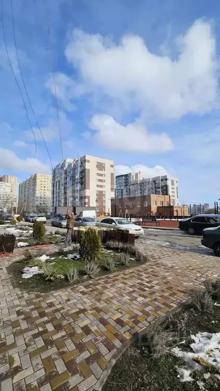1-к кв. Ростовская область, Ростов-на-Дону Берберовка мкр, ул. ... - Фото 1