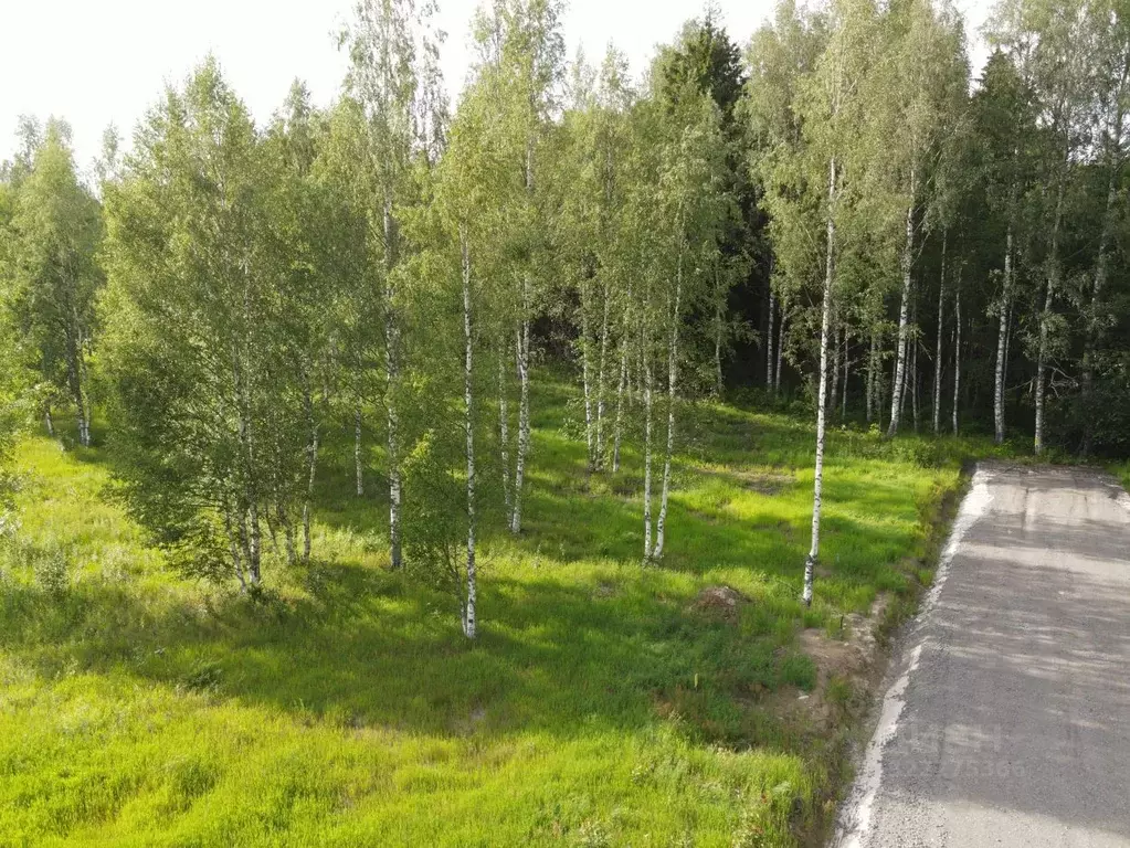 Участок в Ленинградская область, Всеволожский район, Куйвозовское ... - Фото 2