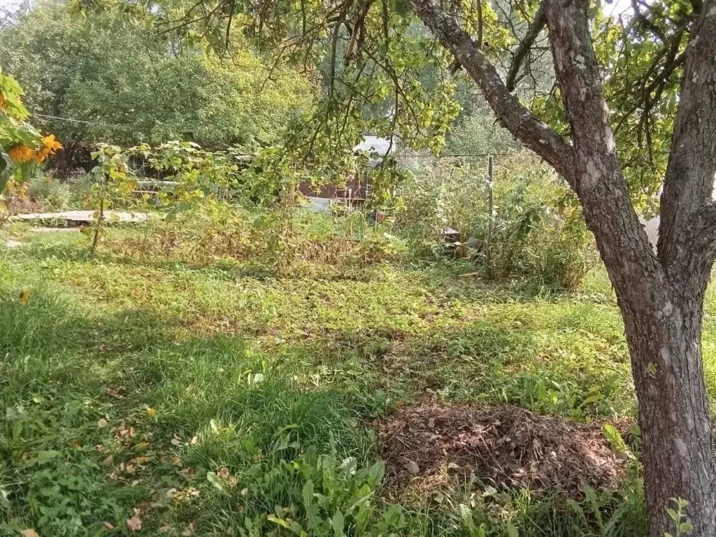 Участок в Чувашия, Шумерля Химик-1 СДТ,  (6.41 сот.) - Фото 2