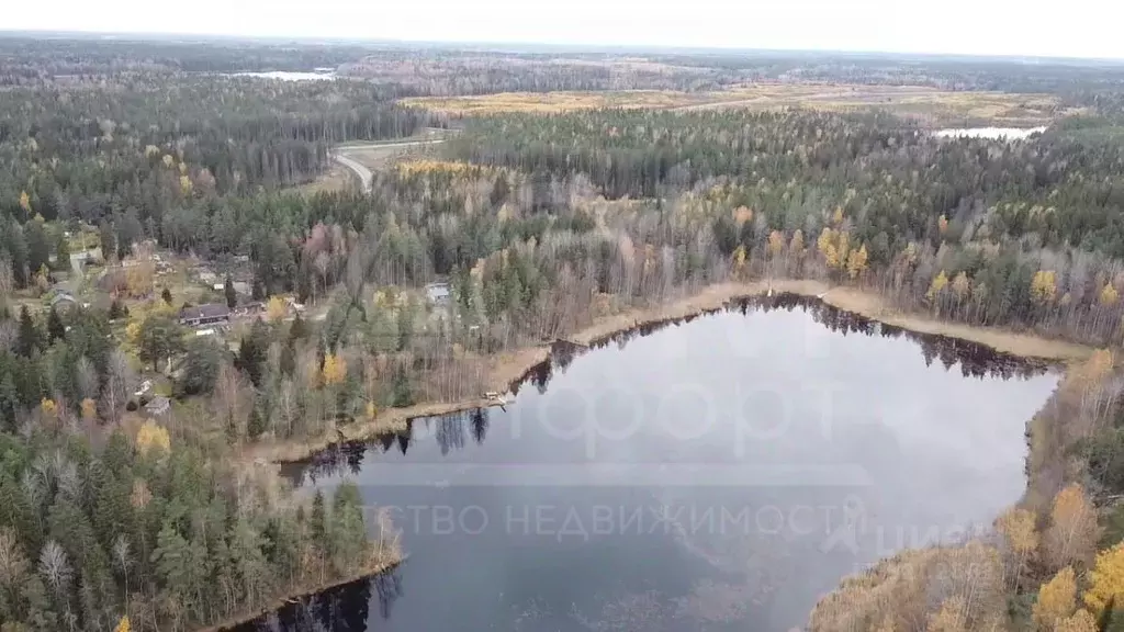 Участок в Ленинградская область, Приозерское городское поселение, пос. ... - Фото 0