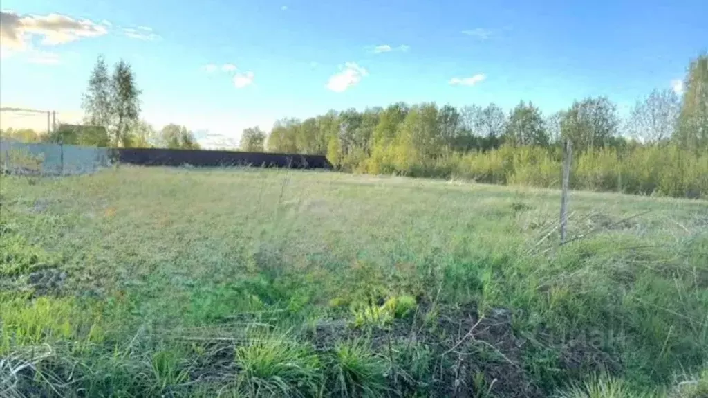 Участок в Московская область, Шаховская муниципальный округ, с. Белая ... - Фото 1