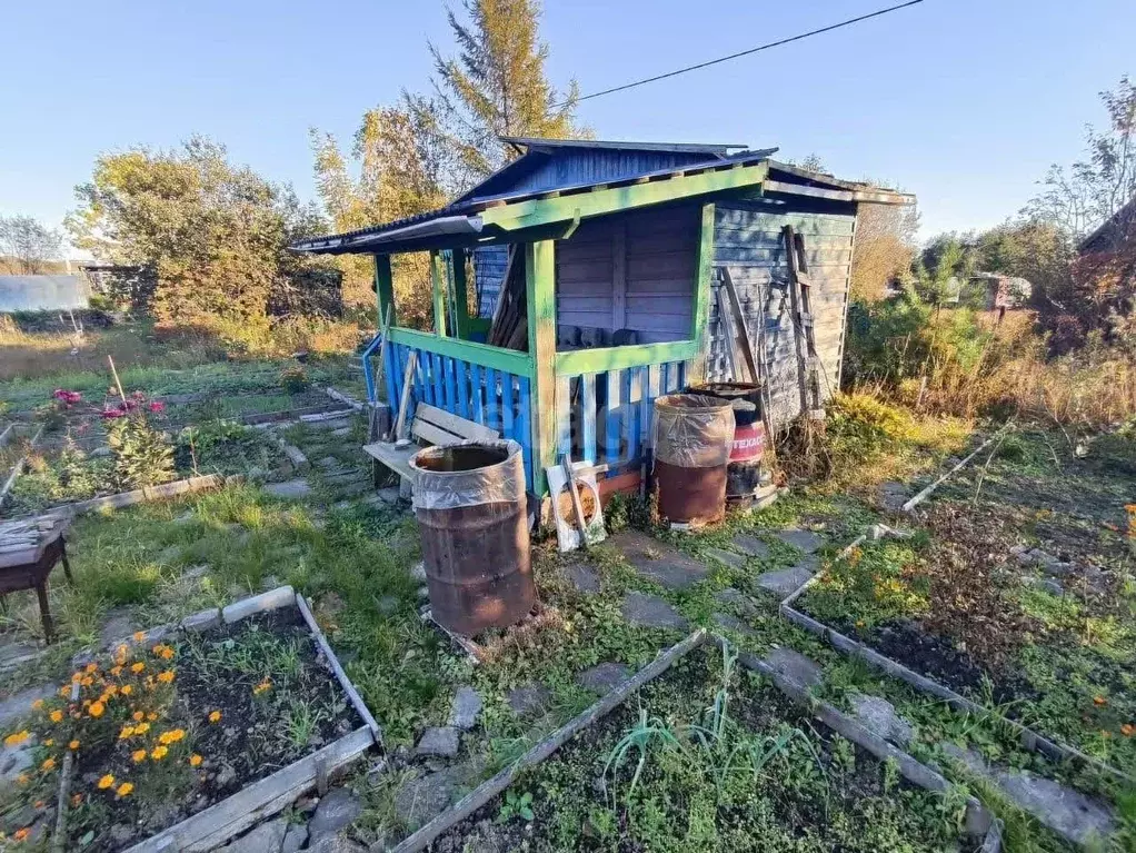 Участок в Хабаровский край, Хабаровский район, Судостроитель садовое ... - Фото 1