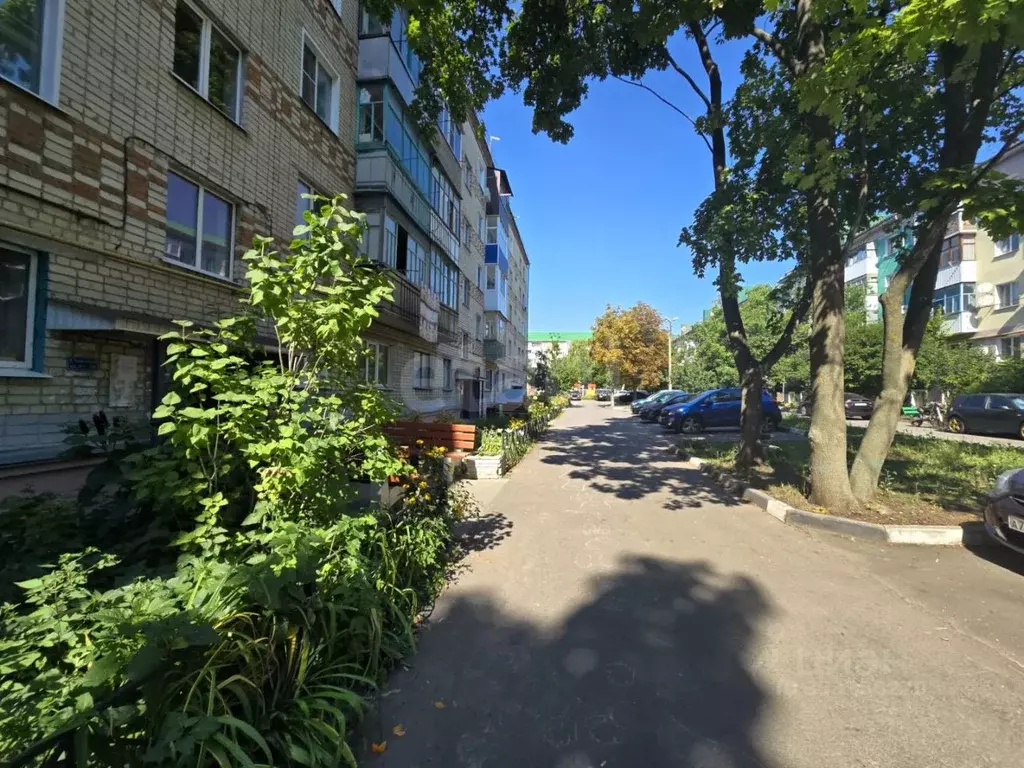 1-к кв. Белгородская область, Валуйки ул. Степана Разина, 1 (31.0 м) - Фото 1