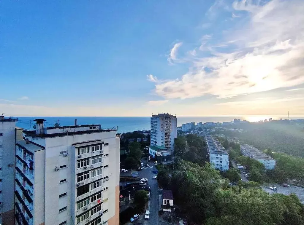Студия Краснодарский край, Сочи Бытха мкр, ул. Ясногорская, 16/2 (29.0 ... - Фото 1