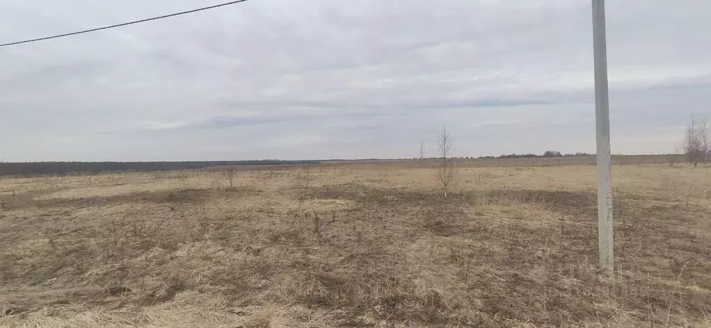 Участок в Московская область, Талдомский городской округ, д. ... - Фото 0