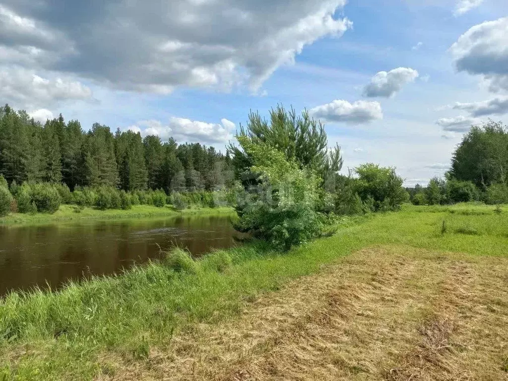 Участок в Свердловская область, Горноуральский муниципальный округ, с. ... - Фото 1