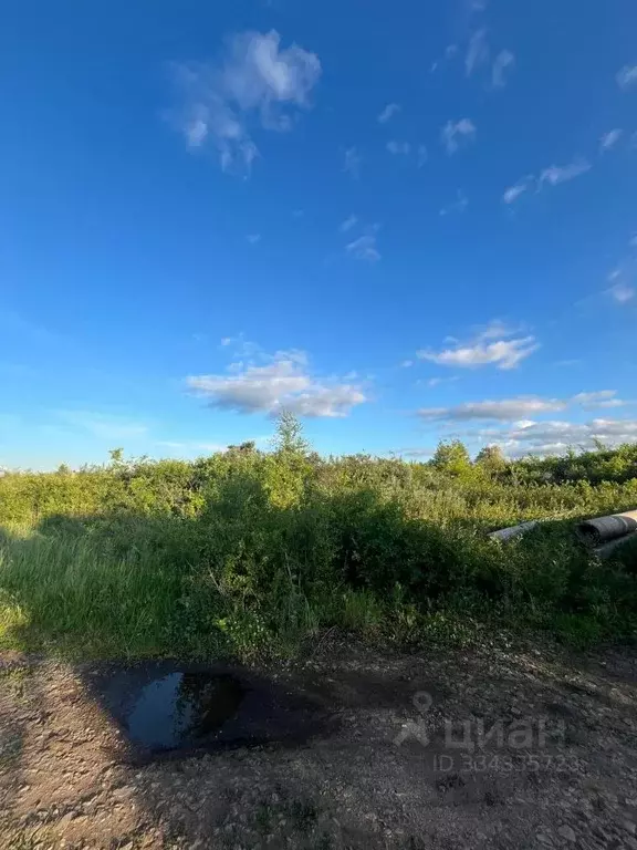 Участок в Самарская область, Волжский район, Воскресенка с/пос, ... - Фото 2