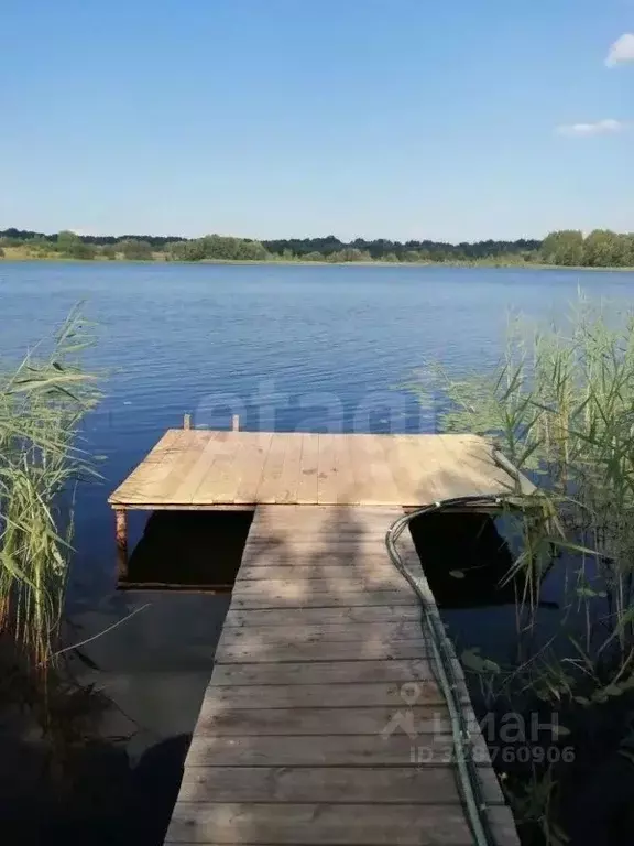 Дом в Вологодская область, Белозерский муниципальный округ, д. ... - Фото 1