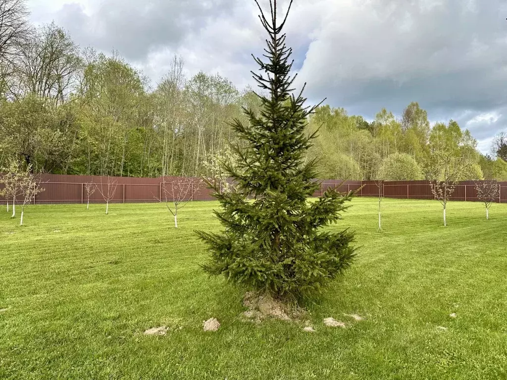 Участок в Московская область, Истра муниципальный округ, д. Ленино ул. ... - Фото 1