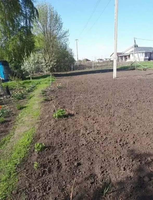 Участок в Белгородская область, Белгородский муниципальный округ, с. ... - Фото 1