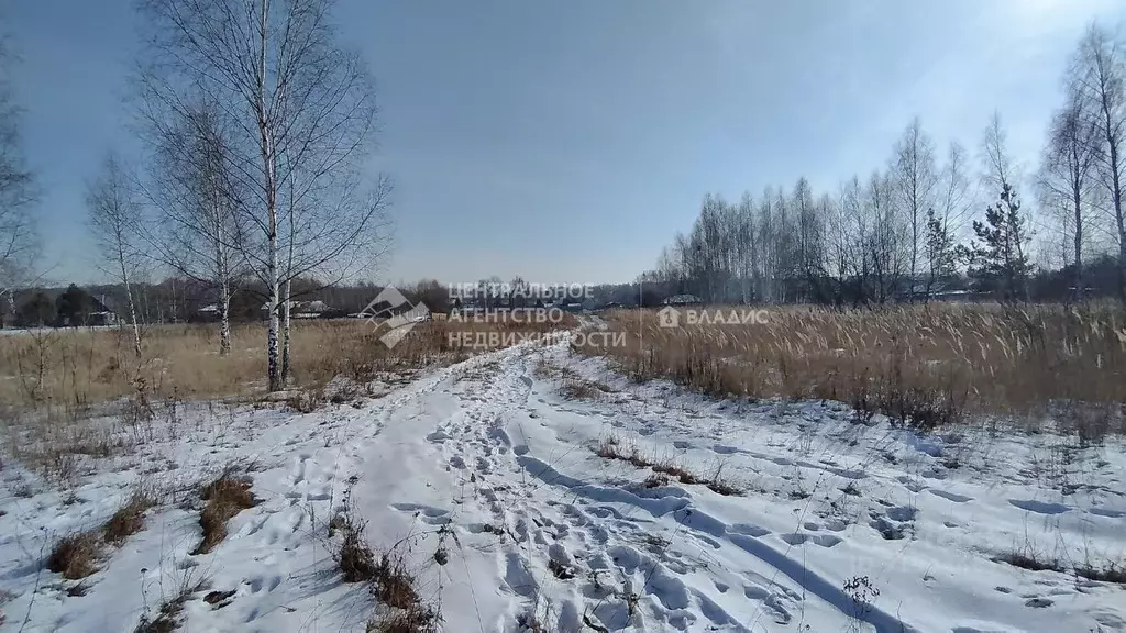 Участок в Рязанская область, Рязанский район, Мурминское с/пос, с. ... - Фото 1