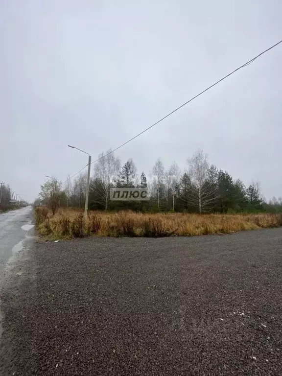 Участок в Липецкая область, Липецк Желтые пески СНТ, 369 (12.0 сот.) - Фото 2