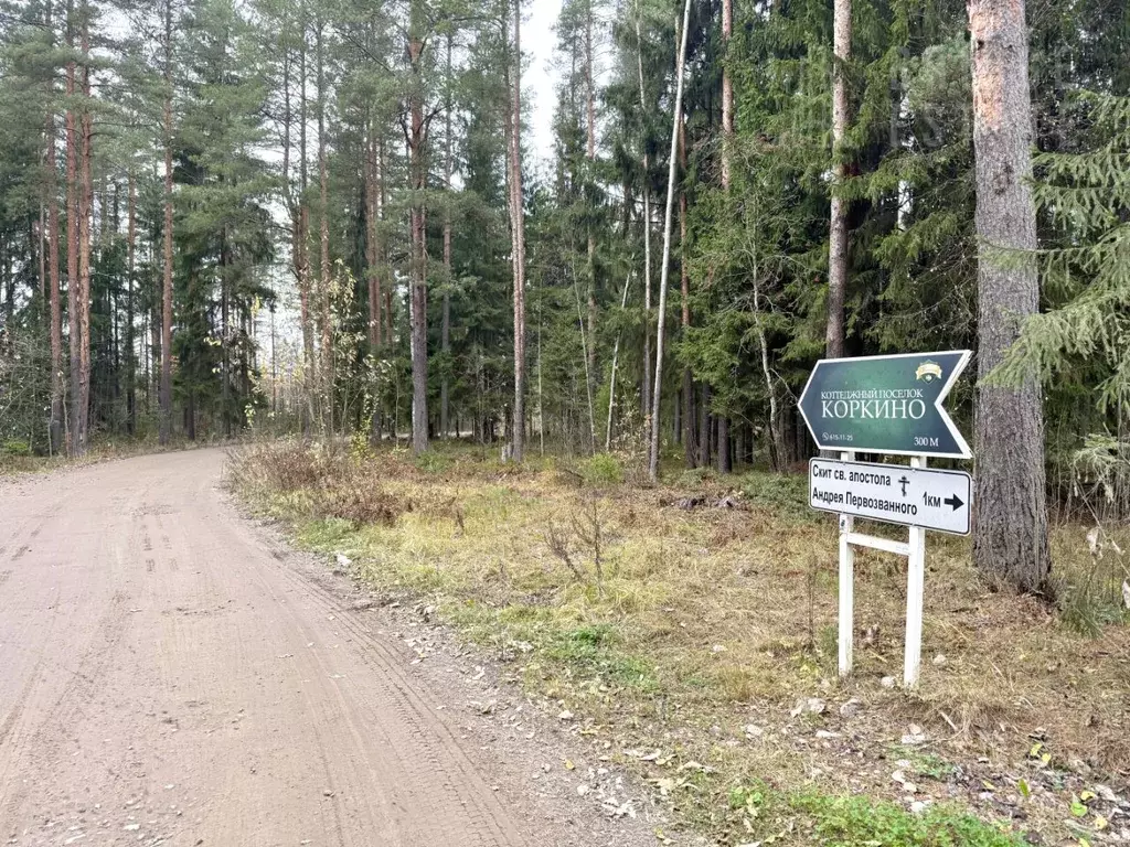 Участок в Ленинградская область, Всеволожский район, Колтушское ... - Фото 1