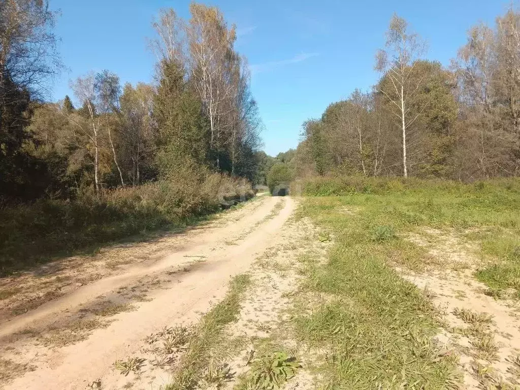 Участок в Калужская область, Жуковский муниципальный округ, Высокиничи ... - Фото 1