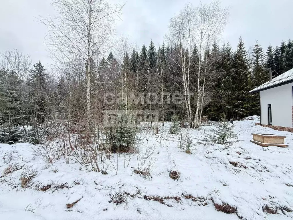 Участок в Московская область, Дмитровский муниципальный округ, д. ... - Фото 2