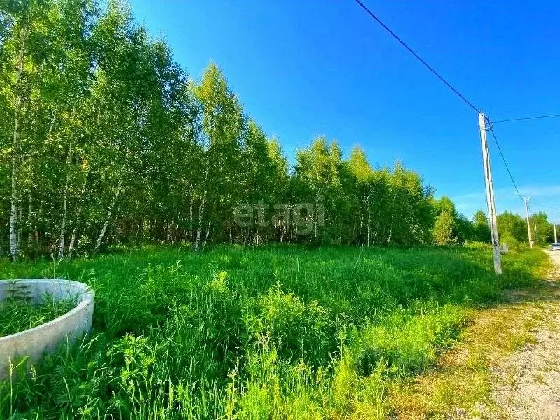 Участок в Калужская область, Малоярославецкий муниципальный округ, ... - Фото 2