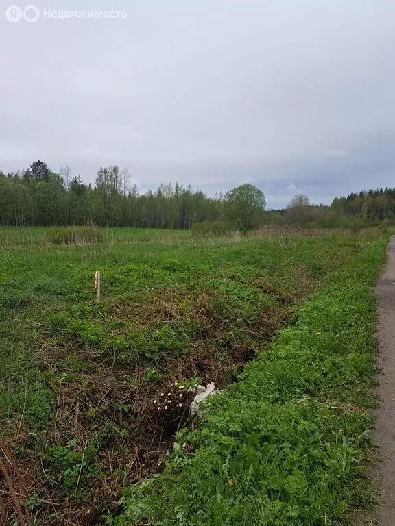 Участок в посёлок Мельниково, Сосновая улица (15 м) - Фото 0