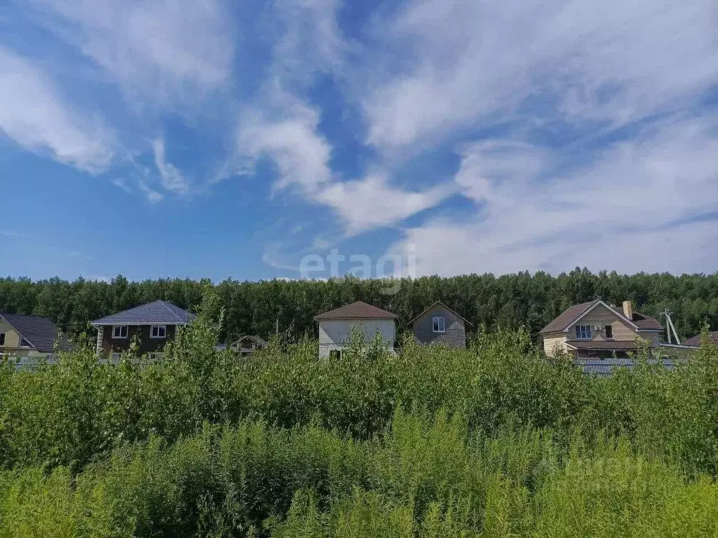 Участок в Нижегородская область, Богородский муниципальный округ, д. ... - Фото 1