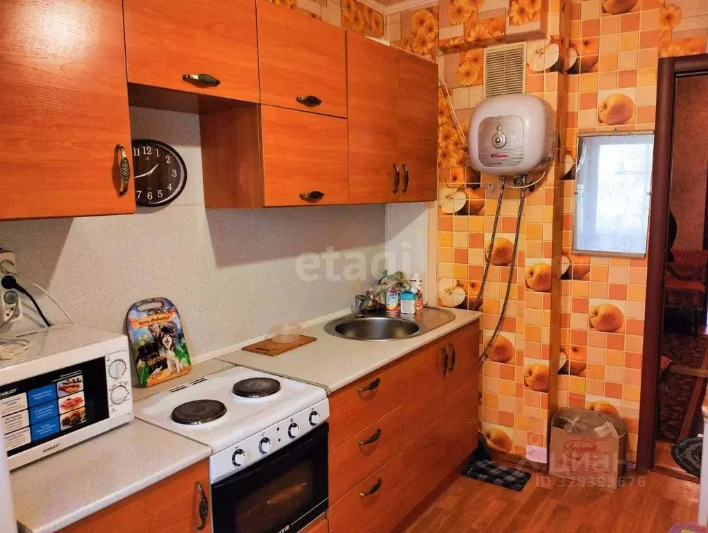 1-к кв. Амурская область, с. Тамбовка ул. Калининская, 63 (49.7 м) - Фото 2