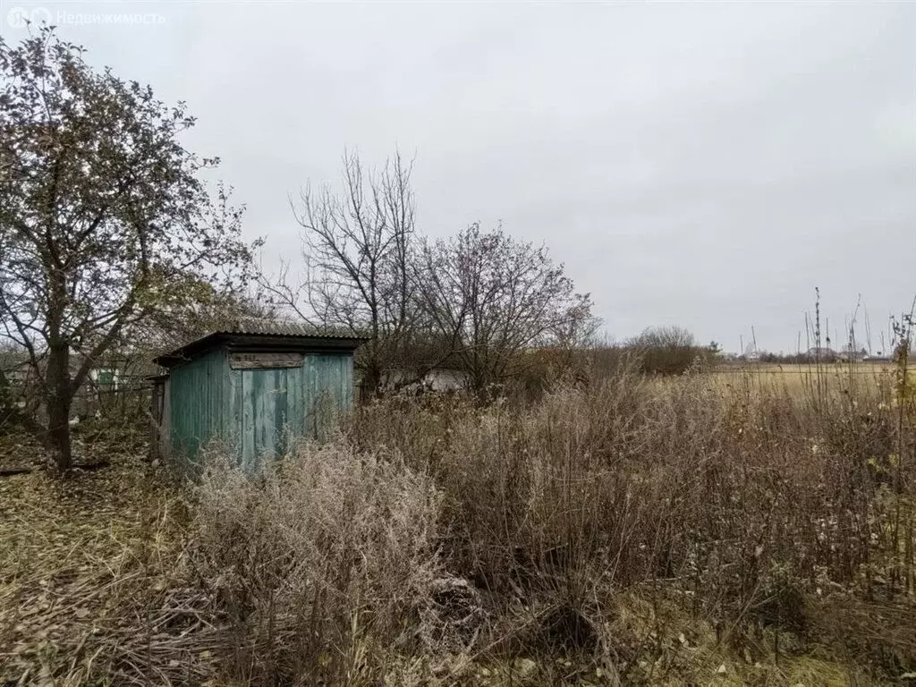 Дом в Рязанская область, рабочий посёлок Пронск, Нижне-Архангельская ... - Фото 0