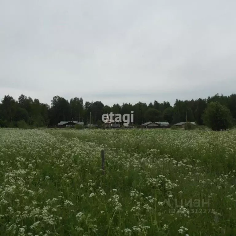 Участок в Ленинградская область, Приозерский район, Ромашкинское ... - Фото 0