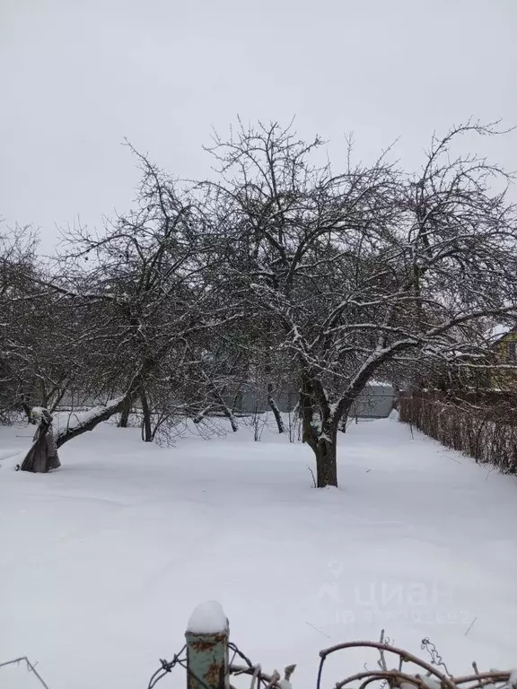 Участок в Калининградская область, Калининград Октябрьское СНТ, ул. ... - Фото 1