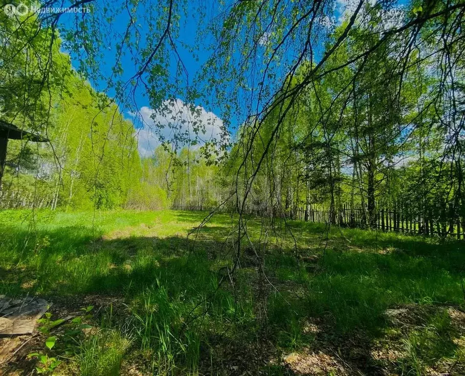 Участок в Миасский городской округ, посёлок Тыелга, Озёрная улица (15 ... - Фото 1