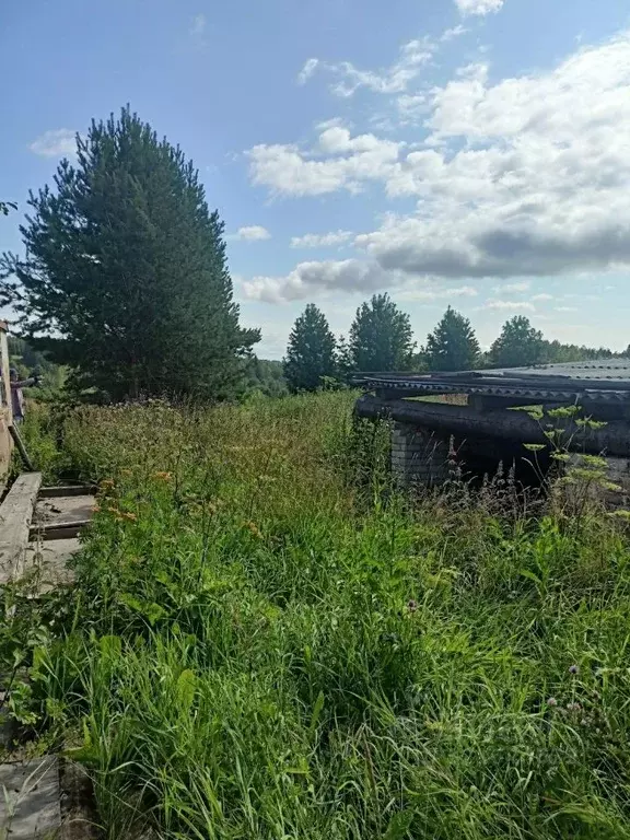 Участок в Вологодская область, Великоустюгский муниципальный округ, д. ... - Фото 1