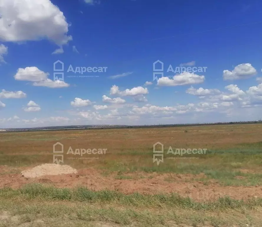 участок в волгоградская область, светлоярский район, с. большие . - Фото 1