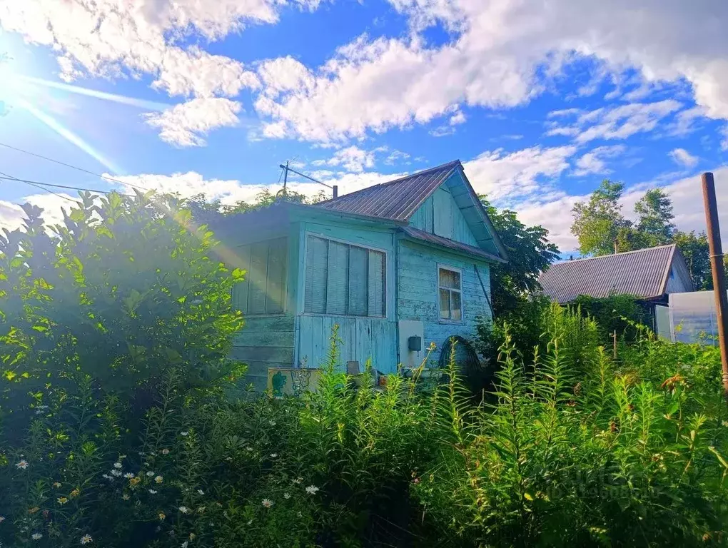 Участок в Хабаровский край, Хабаровский район, Механизатор СНТ 80 ... - Фото 0