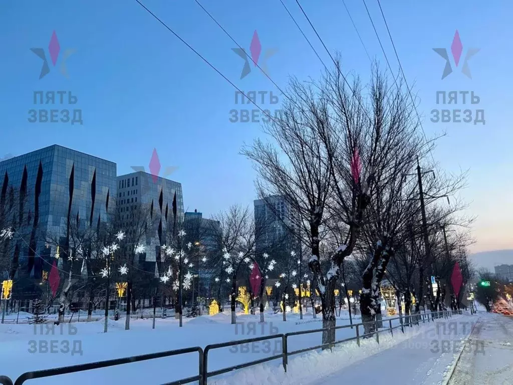 Торговая площадь в Самарская область, Самара Ново-Садовая ул., 215 ... - Фото 2