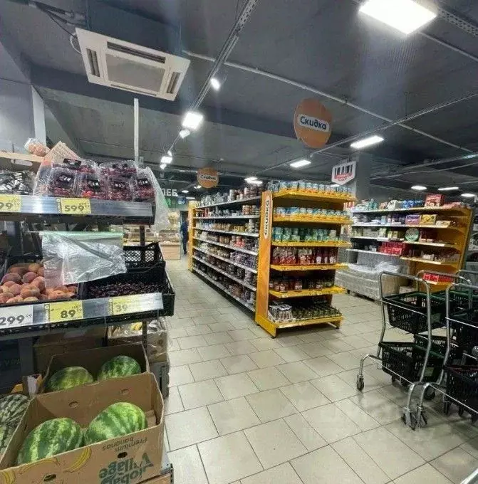 Помещение свободного назначения в Санкт-Петербург Комендантский ... - Фото 1