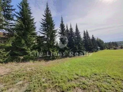 Участок в Московская область, Одинцовский городской округ, с. Козино  ... - Фото 2