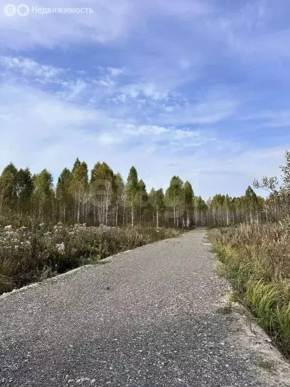 Участок в Тюменская область, Нижнетавдинский муниципальный округ, СНТ ... - Фото 2