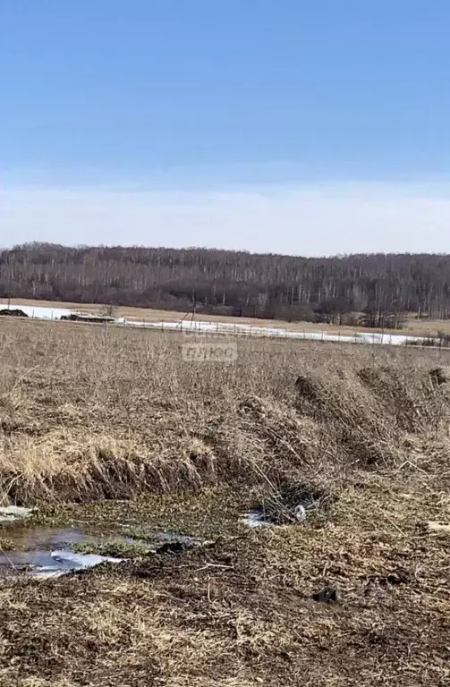 Участок в Нижегородская область, Богородский муниципальный округ, д. ... - Фото 0