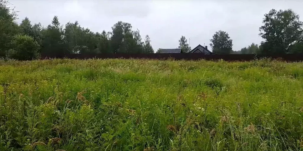 Участок в Московская область, Черноголовка городской округ, д. Беседы ... - Фото 0