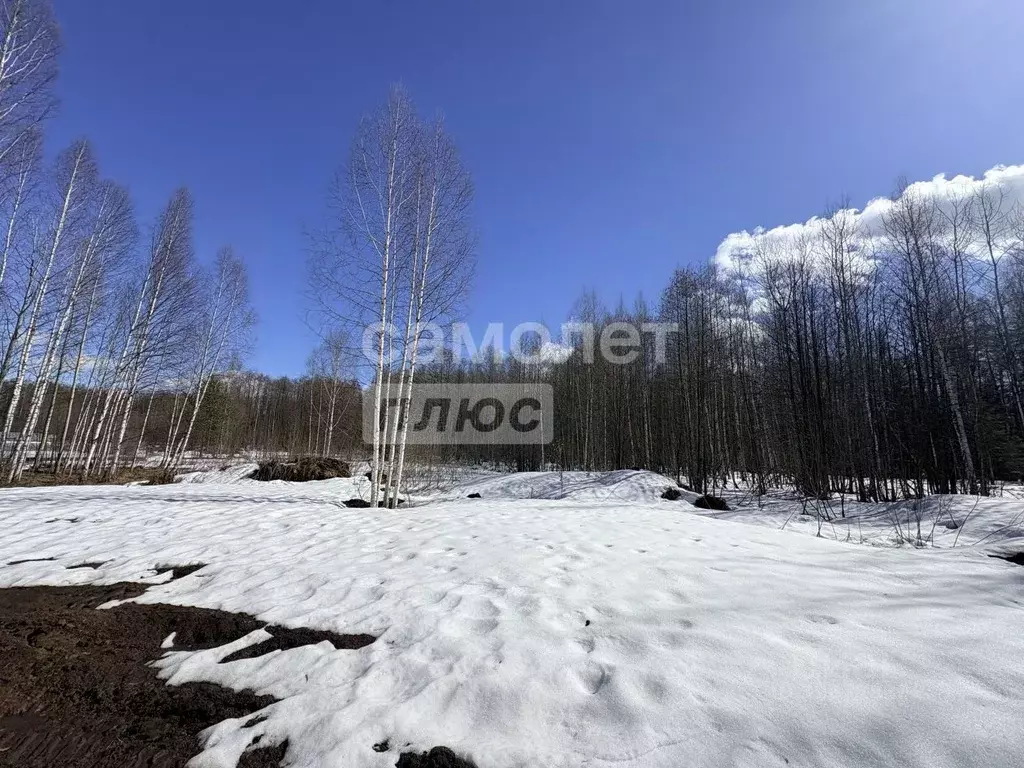 Участок в Марий Эл, Медведевский район, Сидоровское с/пос, д. ... - Фото 1